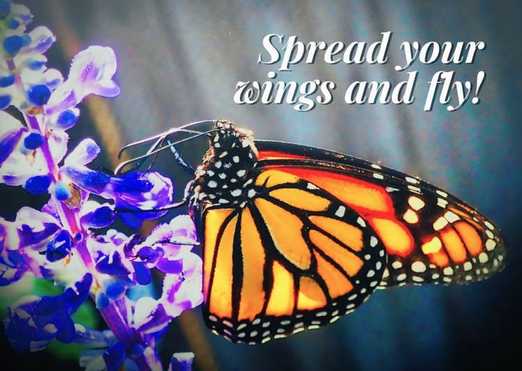 Spread Your Wings and Fly